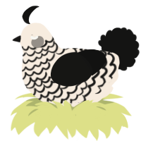 A cream and black chicken with a lace pattern