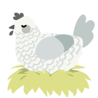 Comfortably Numb, a white and silver chicken with a lace pattern