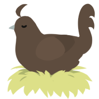 Turdito, a bark chicken