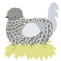 A ash and mist chicken with a lace pattern