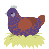 CWD, a overcast and russet chicken with a speckle pattern
