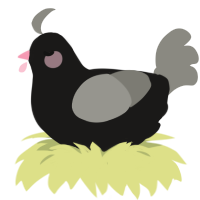 Shade, a sable and ash chicken