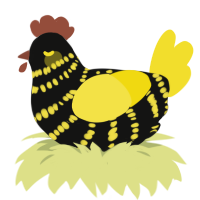 ChIcarus, a black and yellow chicken with a bar pattern