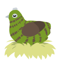 Enos, a chartreuse and bark chicken with a bar pattern