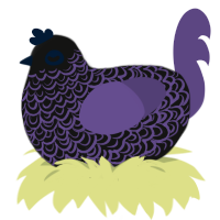 C-PTSD, a black and overcast chicken with a double-lace pattern