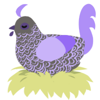 Slarry, a grey and lilac chicken with a double-lace pattern