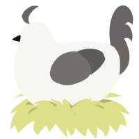 Graylist, a white and grey chicken