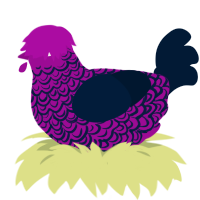 (unnamed), a plum and tumblr chicken with a double-lace pattern