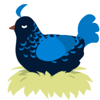 A tumblr and sapphire chicken with a half-lace pattern
