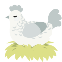 Jushiro, a white and silver chicken with a half-lace pattern