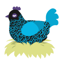 (unnamed), a sable and cerulean chicken with a double-lace pattern