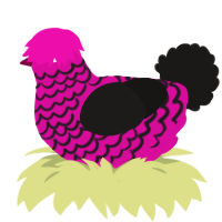 xX_sc3n3g1r7_Xx, a fuchsia and sable chicken with a lace pattern