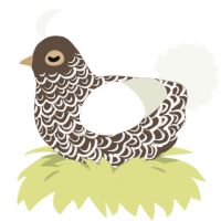 A bark and white chicken with a double-lace pattern