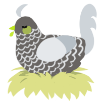 A grey and mist chicken with a lace pattern