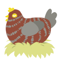 Brick, a russet and ash chicken with a bar pattern