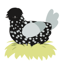 Samsung TV, a sable and silver chicken with a speckle pattern