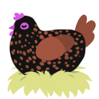 A black and russet chicken with a speckle pattern