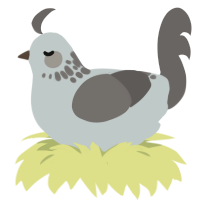 english sky, a silver and grey chicken with a neck-speckle pattern