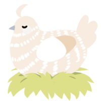 Coconut, a cream chicken with a bar pattern