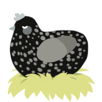 A black and ash chicken with a speckle pattern
