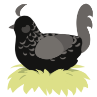 (unnamed), a black and grey chicken with a half-lace pattern