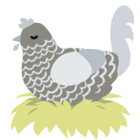 Concrete, a ash and mist chicken with a lace pattern
