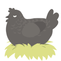 Kiss from a Rose, a grey chicken with a half-lace pattern
