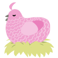 (unnamed), a pink chicken with a lace pattern