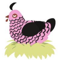 A pink and sable chicken with a lace pattern