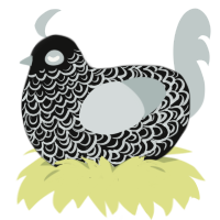 Vow, a black and silver chicken with a double-lace pattern
