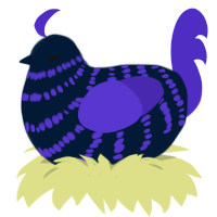 A tumblr and indigo chicken with a bar pattern