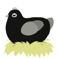 Admiral Ammonia, a black and ash chicken