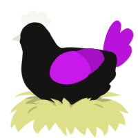 Molière the Mediocre, a black and amethyst chicken