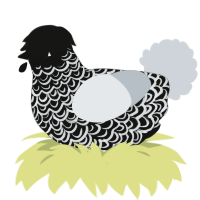 beyond the veil, a black and mist chicken with a double-lace pattern
