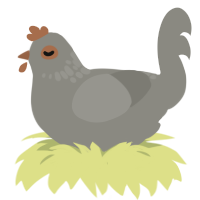 rusty pipe, a ash chicken with a neck-speckle pattern