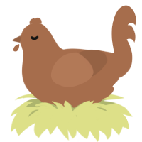 Mud, a brown chicken