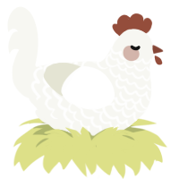 Cent, a white chicken with a lace pattern