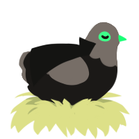 Set, a sable and grey chicken with a head pattern