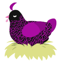 Tenet, a black and plum chicken with a double-lace pattern