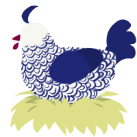 Evening Glory, a white and navy chicken with a double-lace pattern