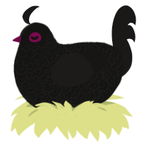 Chiyo, a black and sable chicken with a double-lace pattern