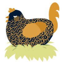 (unnamed), a tumblr and orange chicken with a double-lace pattern