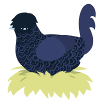 Show No Caress, a tumblr and navy chicken with a double-lace pattern