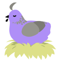 Slate, a lilac and ash chicken with a neck-speckle pattern