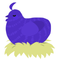 A indigo chicken with a bar pattern