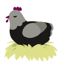 A sable and ash chicken with a head pattern