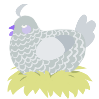 (unnamed), a silver and mist chicken with a lace pattern