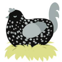 truffle, a black and silver chicken with a speckle pattern