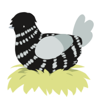 Gerry, a sable and silver chicken with a bar pattern