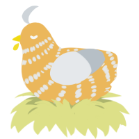 Cheese, a honey and mist chicken with a bar pattern